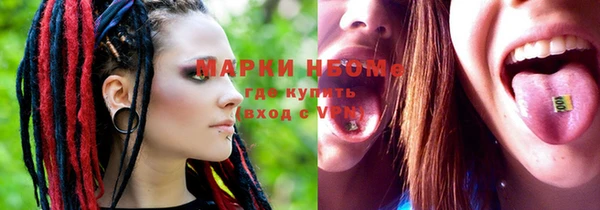индика Покровск